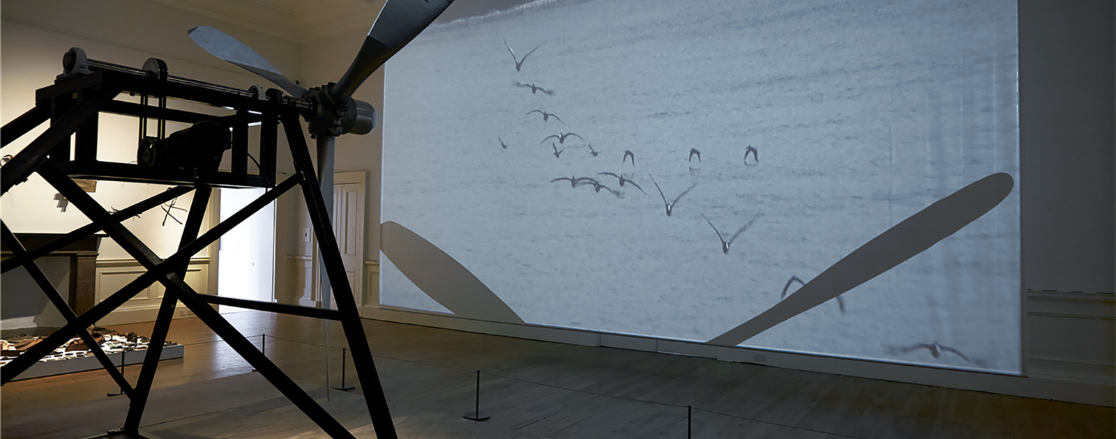Adam Broomberg & Oliver Chanarin, Dodo, 2014 © Broomberg & Chanarin. Installation view: British Art Show 8, 2015-17, Scottish National Gallery of Modern Art. Photo © John McKenzie Adam Broomberg & Oliver Chanarin, Dodo Installation view: British Art Show 8